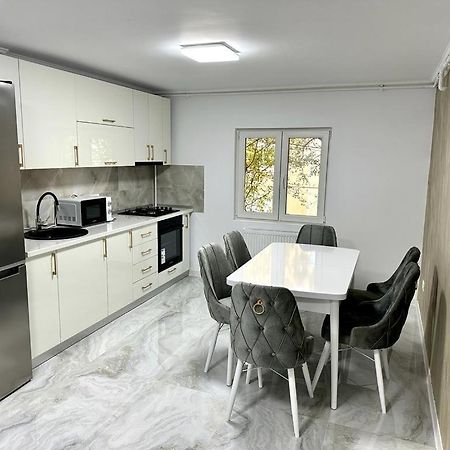 Elite Apartment Buzau Exterior photo
